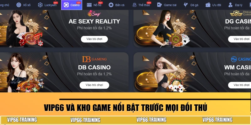 Các sản phẩm nổi bật của VIP66 