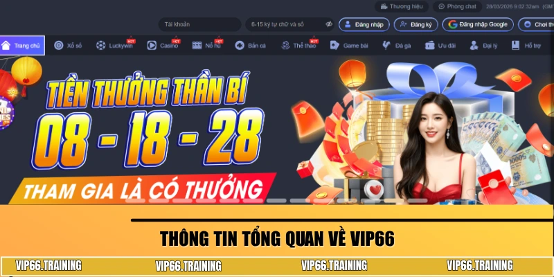 Giới thiệu về VIP66 