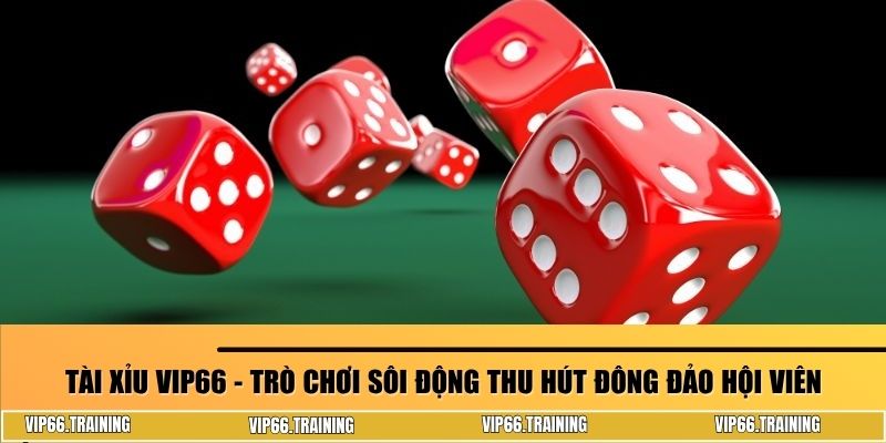 Tài xỉu VIP66